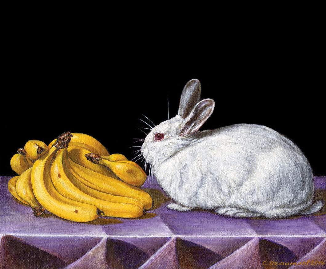 Still Life with Rabbit and Bananas